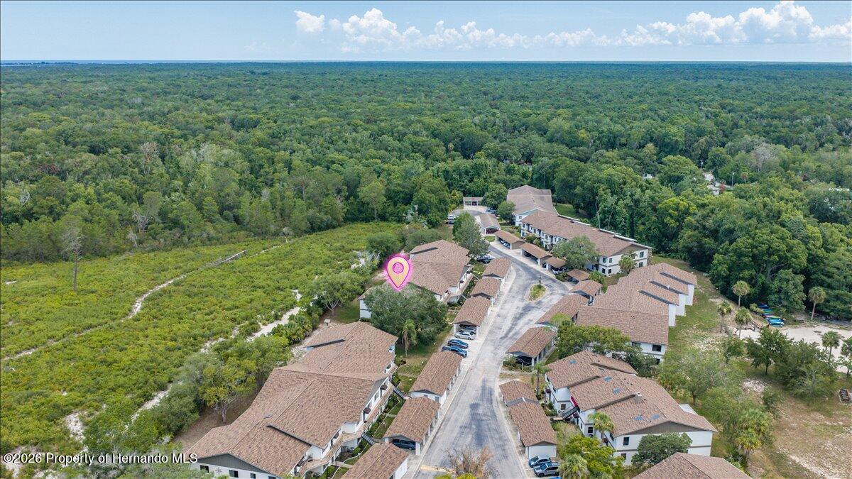 6653 River Run Boulevard Weeki Wachee, FL 34607 - Photo 39 of 55