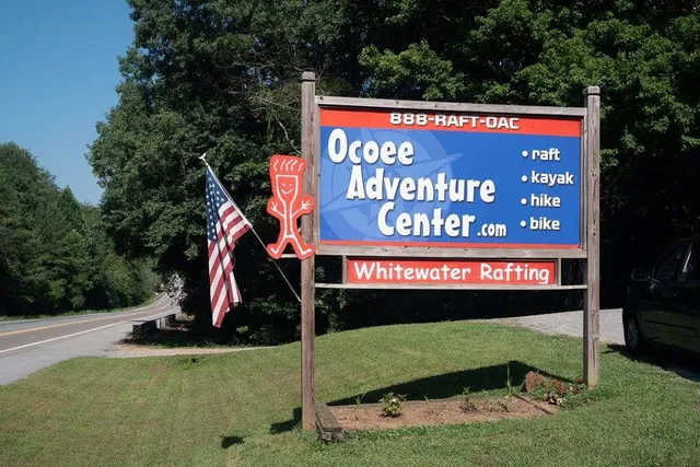 a view of a yard with plants and trees
