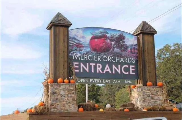 a view of a backyard with sitting area and furniture