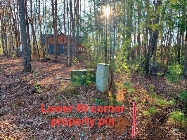 a view of a yard with plants and trees