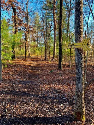 $600,000 | 1134 Lee’s Ride, McCaysville, GA 30555