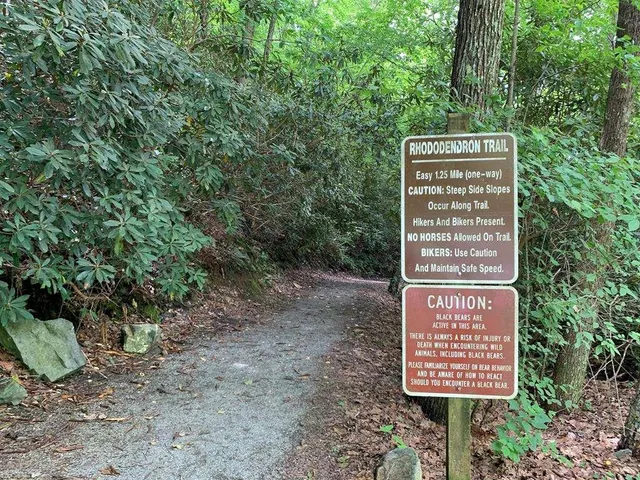 $600,000 | 1134 Lee’s Ride, McCaysville, GA 30555