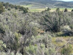 0 Council Butte, Unit LOT 7 Beatty, OR 97621 - Photo 4 of 4 4