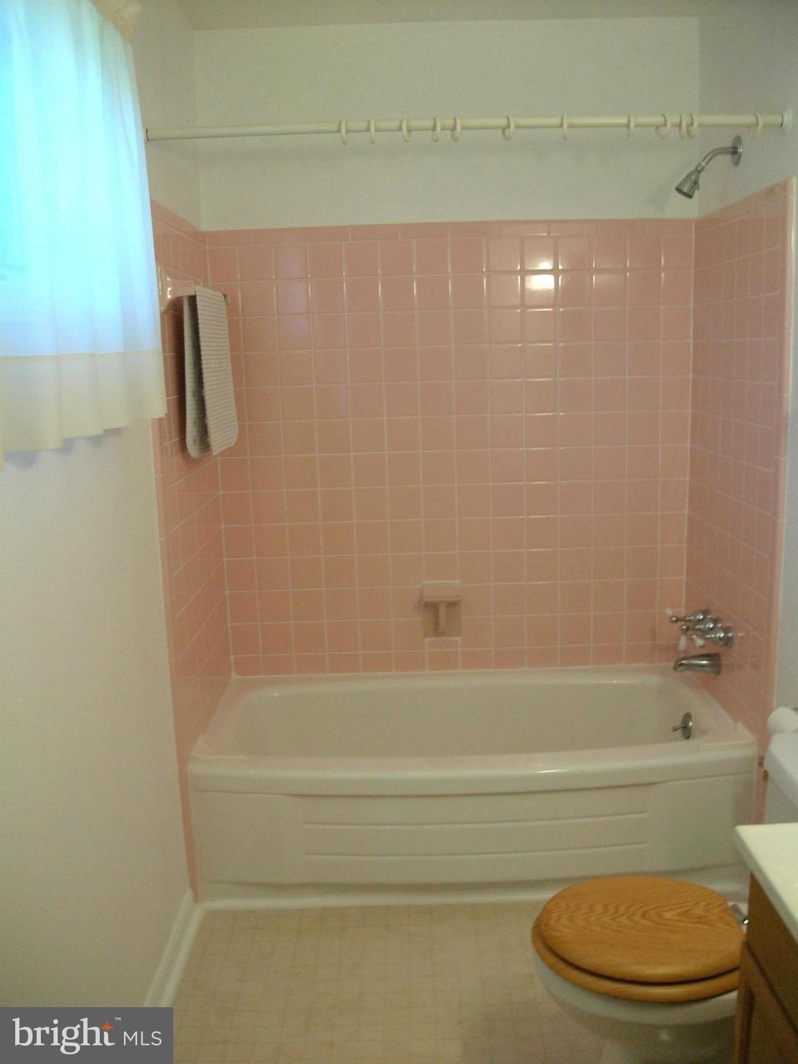 604 West Nettle Tree Road Sterling, VA 20164 - Photo 15 of 21 Bath (Master)