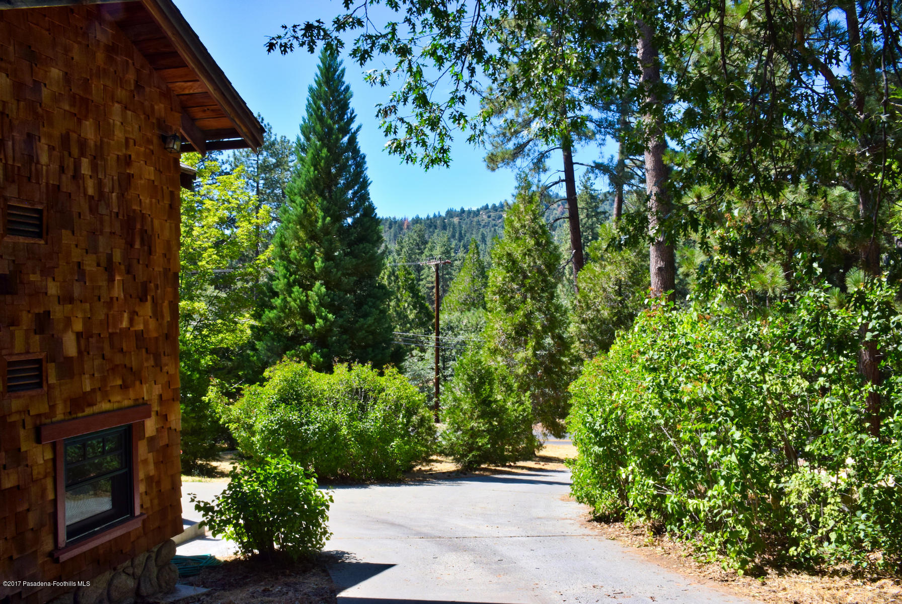 53225 Tollgate Road Idyllwild, CA 92549 - Photo 21 of 24 a view of a garden with plants