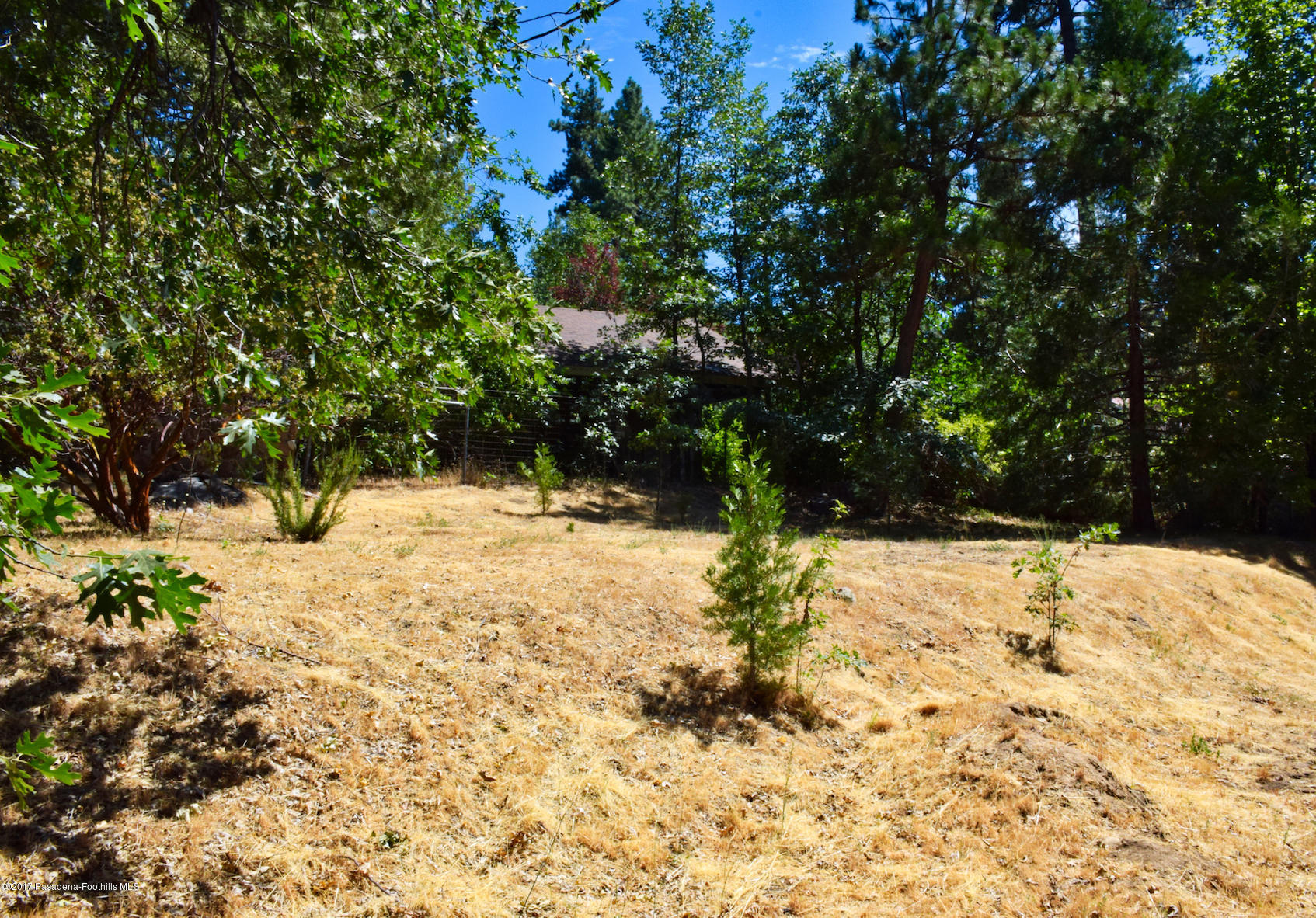 53225 Tollgate Road Idyllwild, CA 92549 - Photo 22 of 24 a view of a snow yard