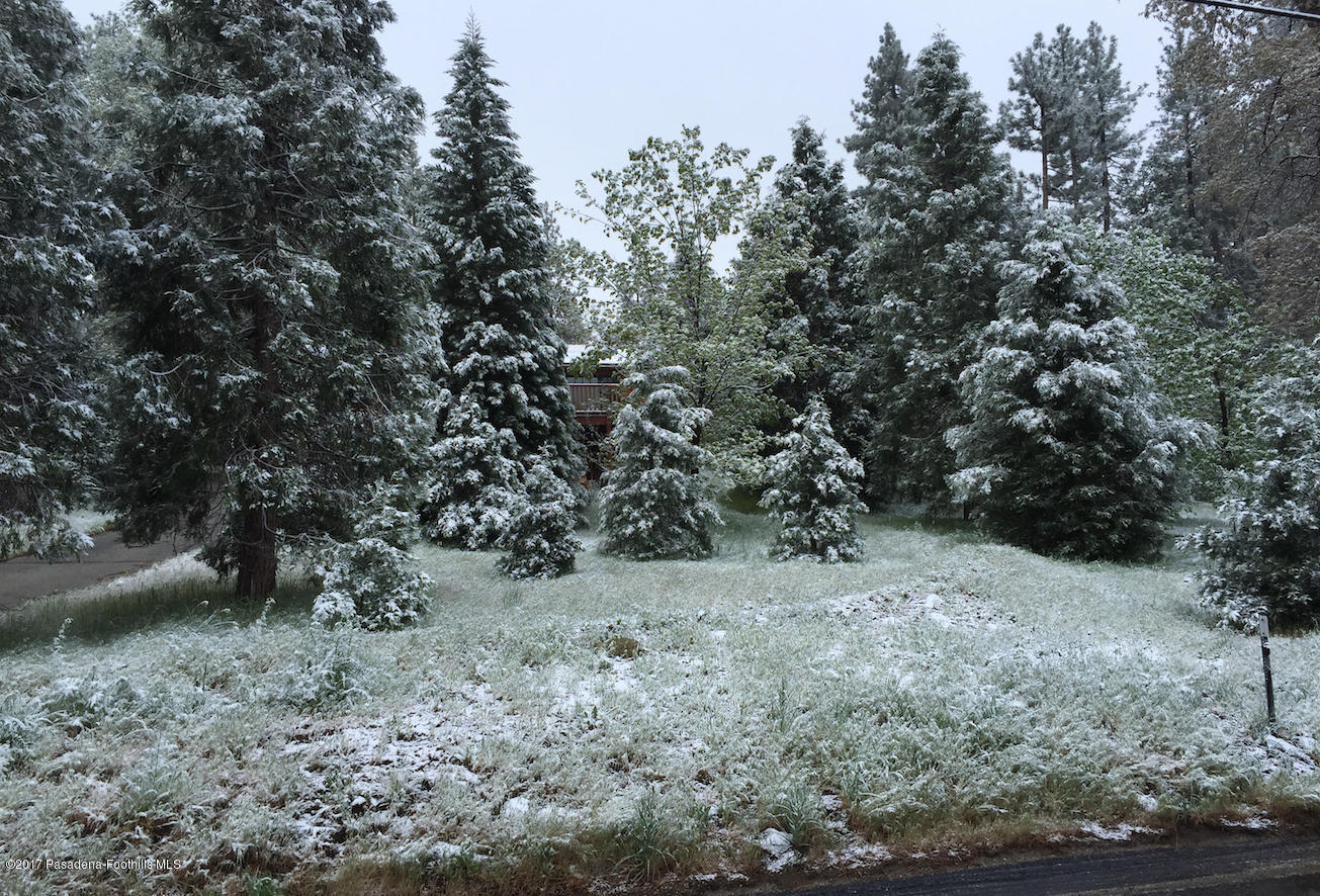 53225 Tollgate Road Idyllwild, CA 92549 - Photo 24 of 24 a view of a dry yard with trees