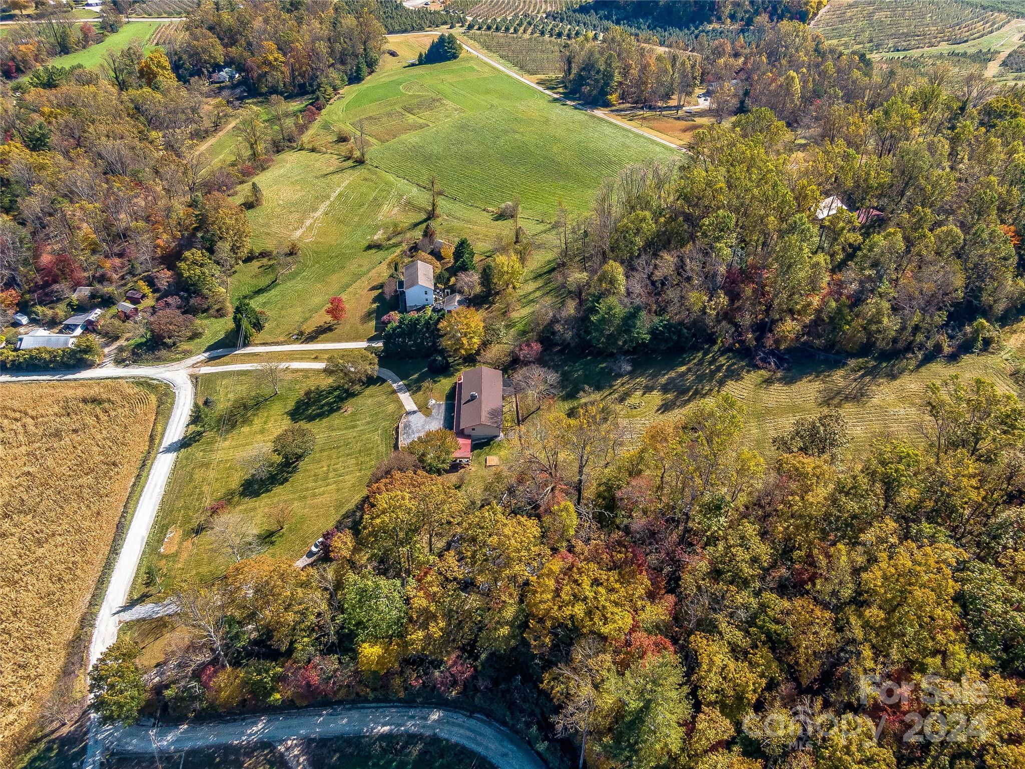 195 Whitehead Road Hendersonville, NC 28792 - Photo 23 of 39