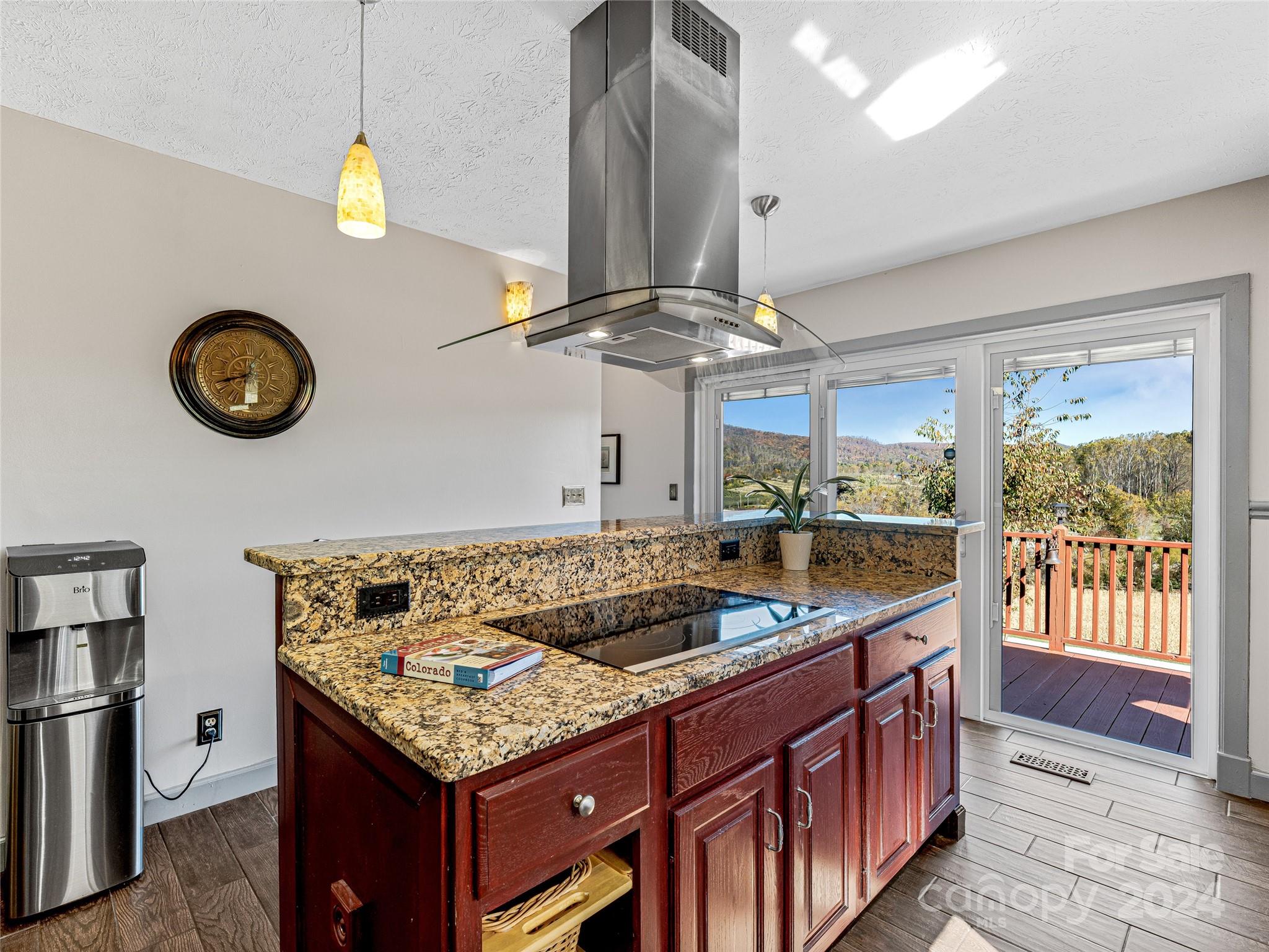 195 Whitehead Road Hendersonville, NC 28792 - Photo 5 of 39