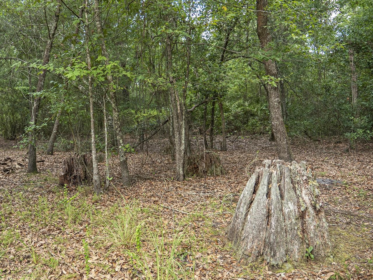 Vacant Southwest Hike Lake Road Madison, FL 32340 - Photo 25 of 35
