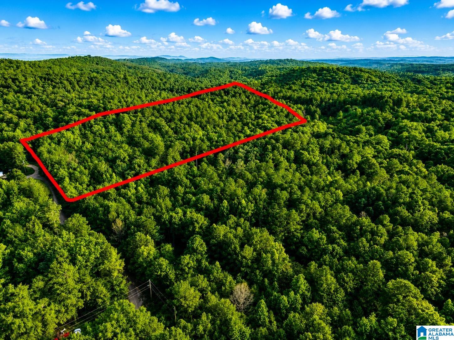 Off Of Penny Lane, Unit 54 Odenville, AL 35120 - Photo 4 of 25