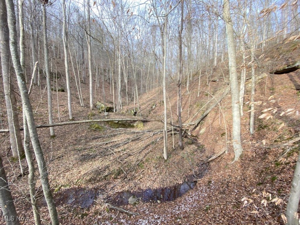 88 Ivy Road Walton, WV 25286 - Photo 17 of 37