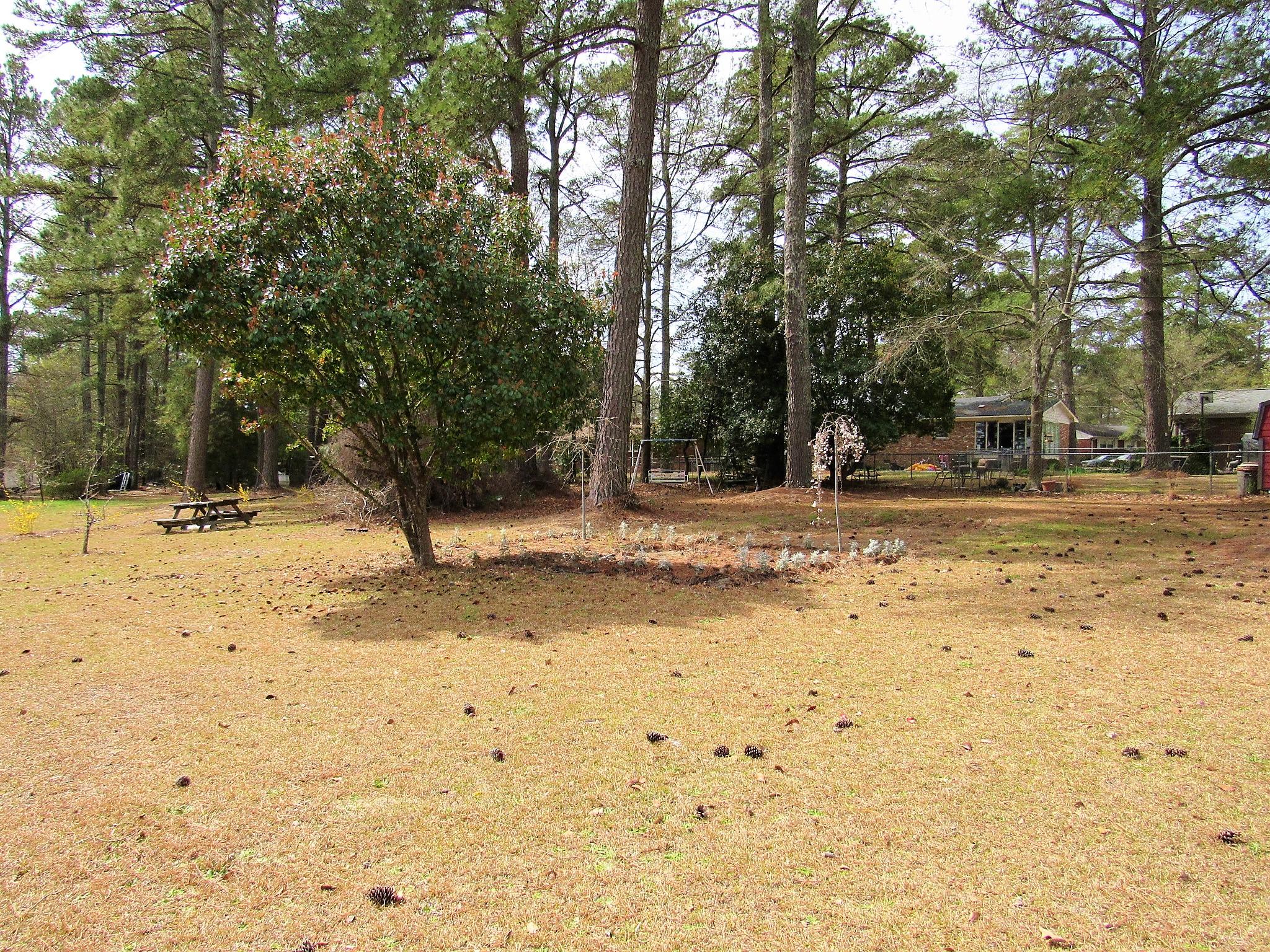 113 Willow Road Rockingham, NC 28379 - Photo 8 of 17 IMG_0229