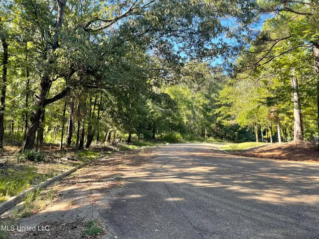 $3,480,000 | Undisclosed Address, Madison, MS 39110