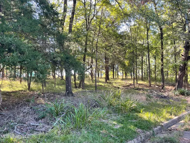 $3,480,000 | Undisclosed Address, Madison, MS 39110