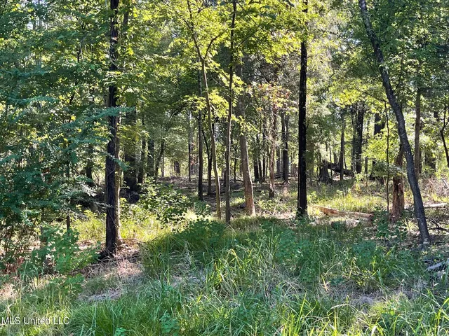 $3,480,000 | Undisclosed Address, Madison, MS 39110