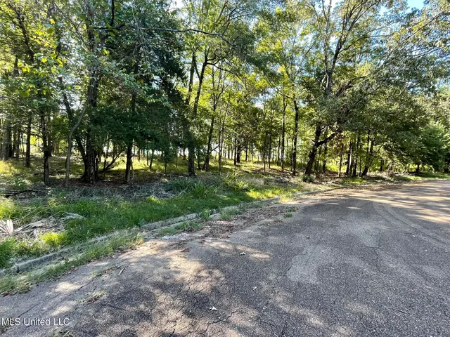 $3,480,000 | Undisclosed Address, Madison, MS 39110