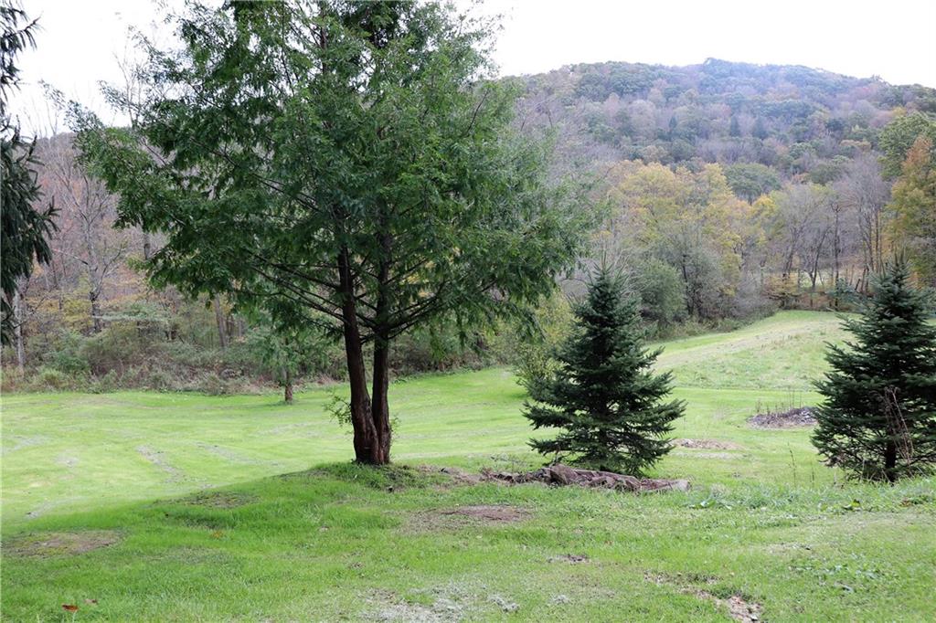 1233 River Road Salisbury, PA 15558 - Photo 12 of 20 Gallery Image 12