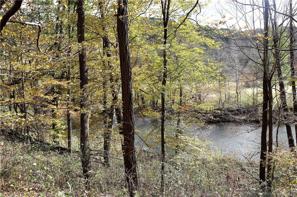 1233 River Road Salisbury, PA 15558 - Photo 10 of 20 Gallery Image 10