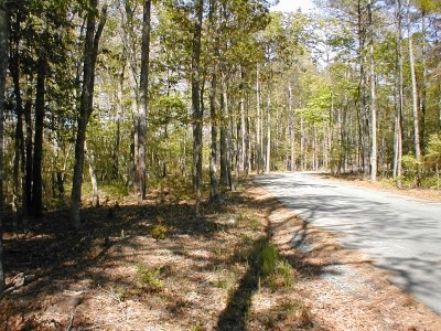 74 Custis Neck Road, Unit 74 Wachapreague, VA 23480 - Photo 3 of 5