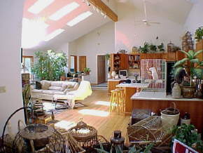 193 Cloverdale Road Chenango Forks, NY 13746 - Photo 4 of 5 Gallery Image 4