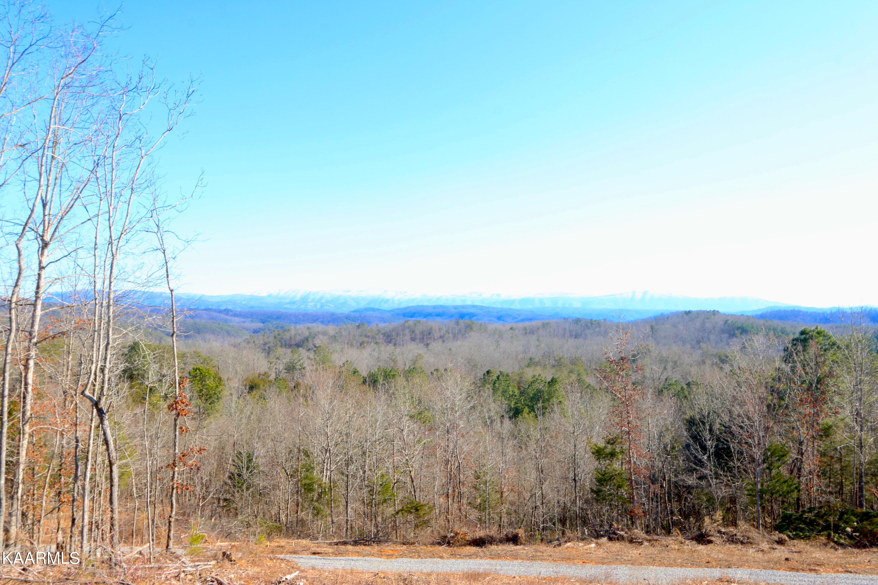 257 Bill Moser Road Vonore, TN 37885 - Photo 11 of 33 IMG_0270