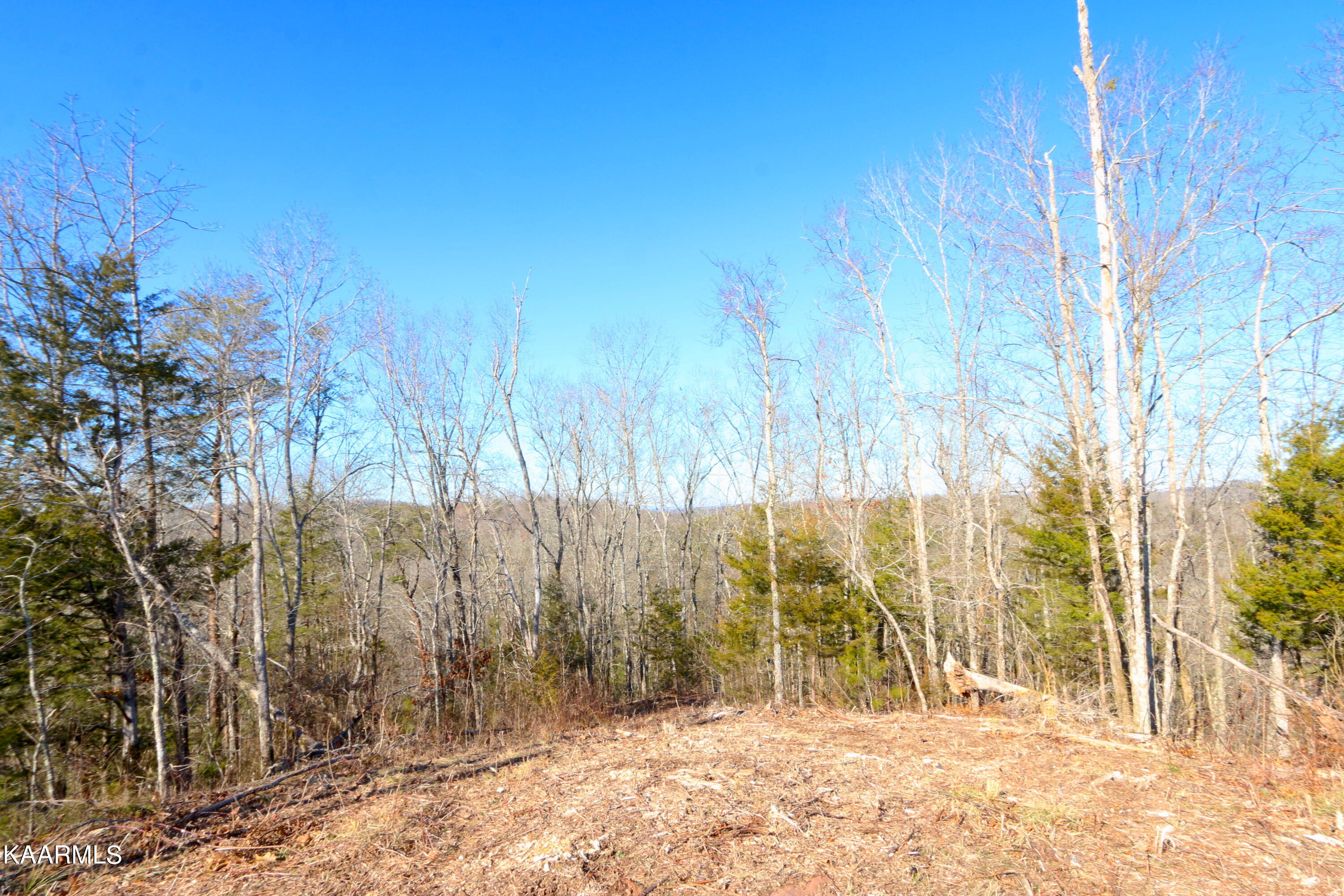 257 Bill Moser Road Vonore, TN 37885 - Photo 13 of 33 IMG_0265
