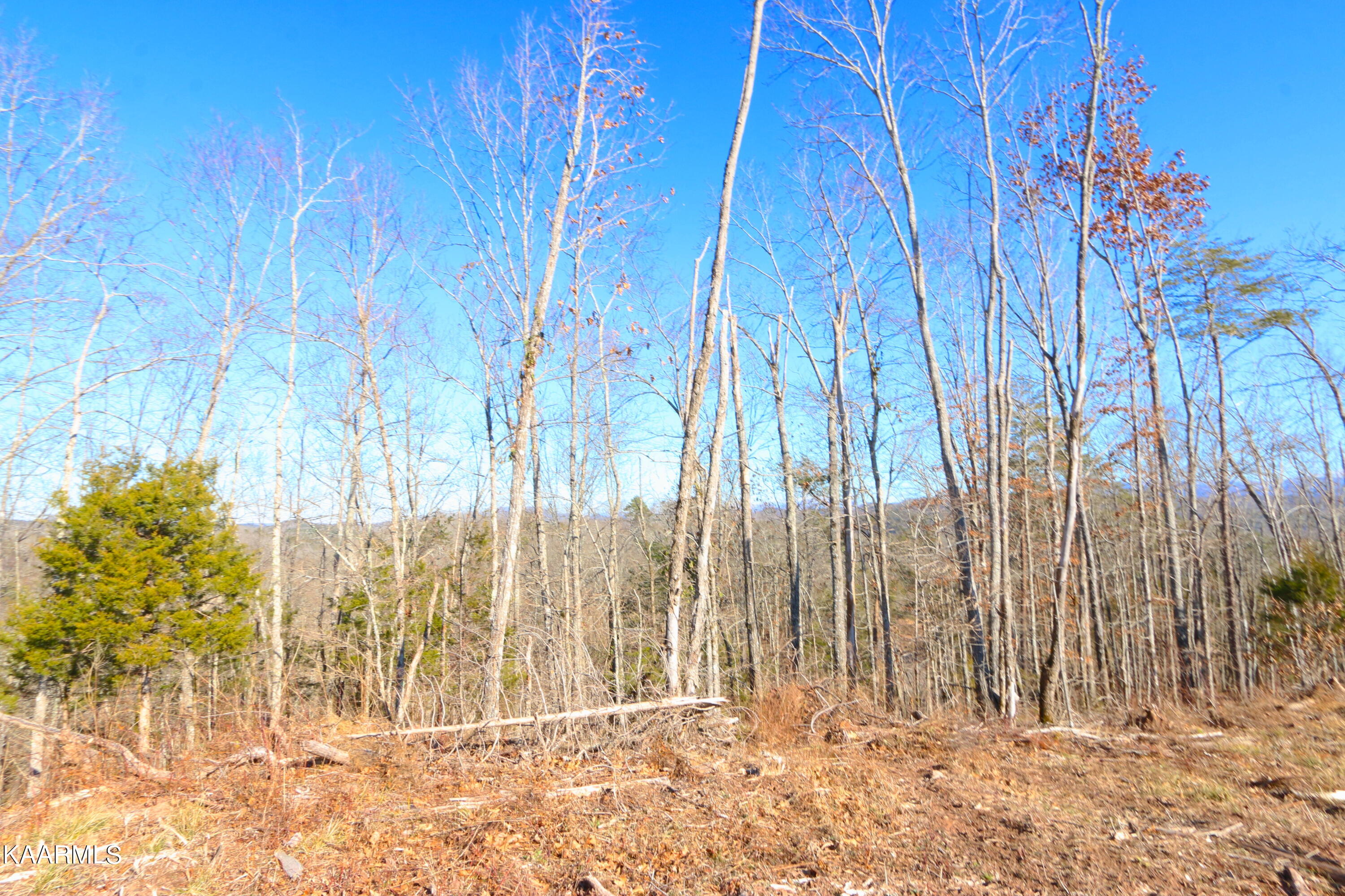 257 Bill Moser Road Vonore, TN 37885 - Photo 14 of 33 IMG_0266