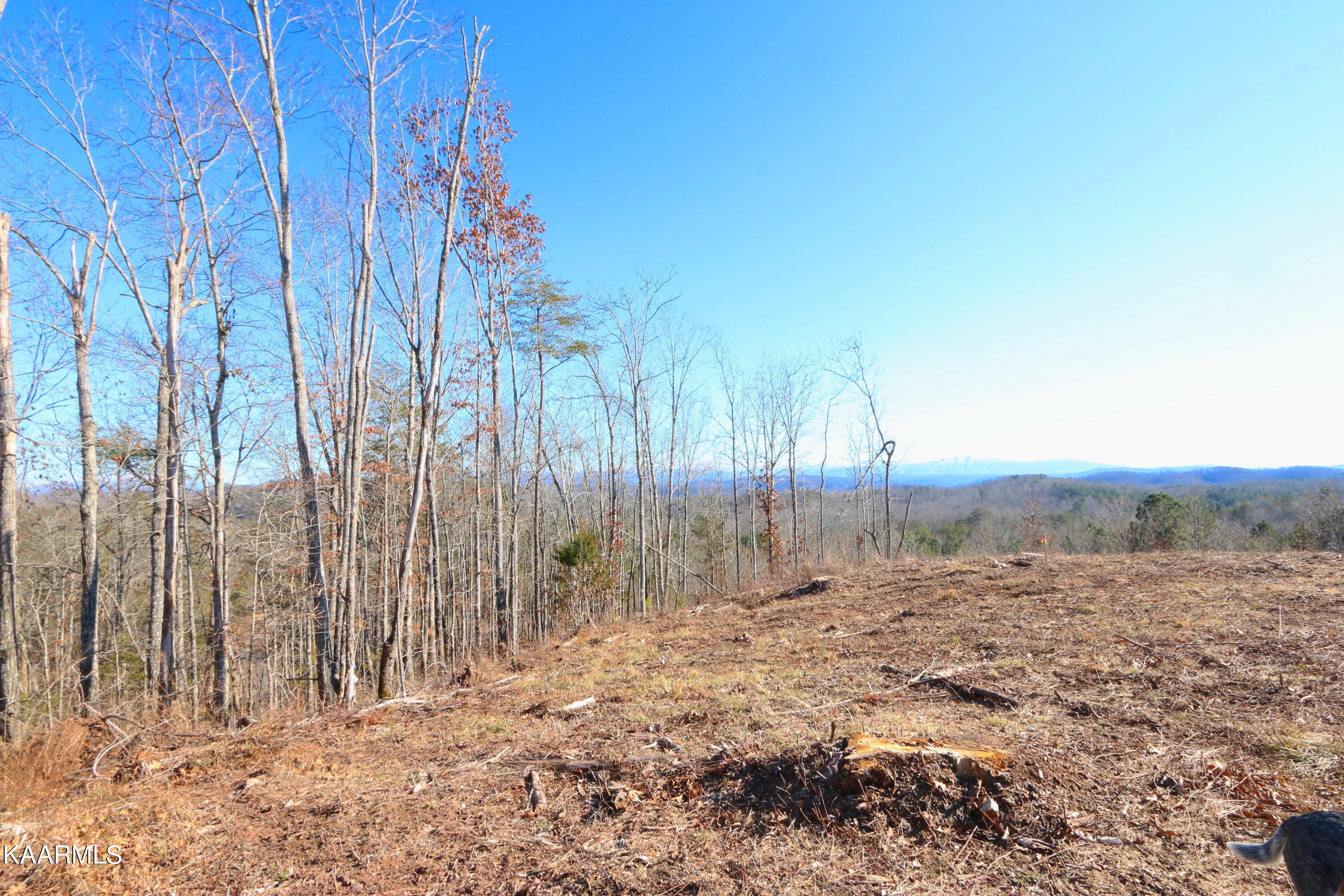 257 Bill Moser Road Vonore, TN 37885 - Photo 15 of 33 IMG_0267