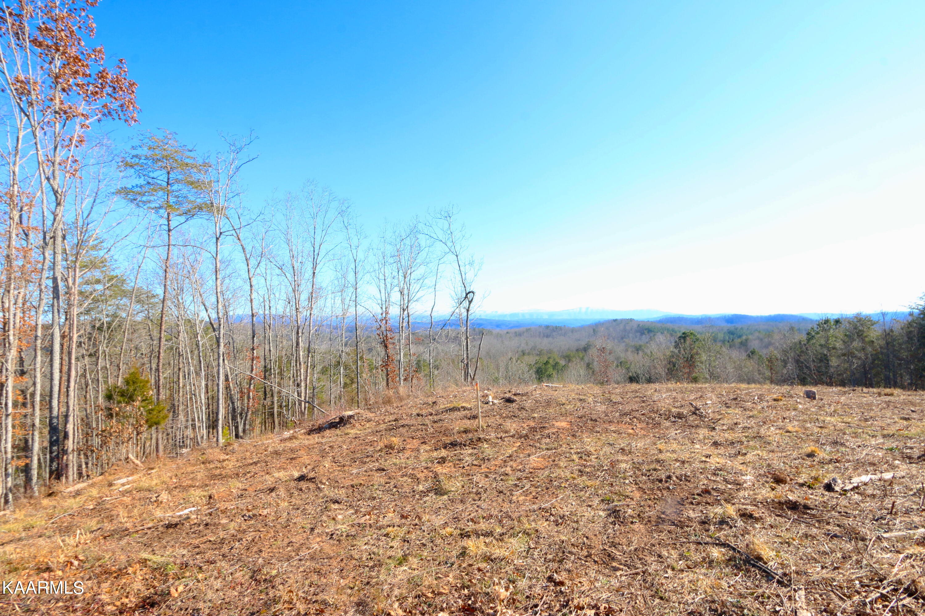 257 Bill Moser Road Vonore, TN 37885 - Photo 16 of 33 IMG_0268