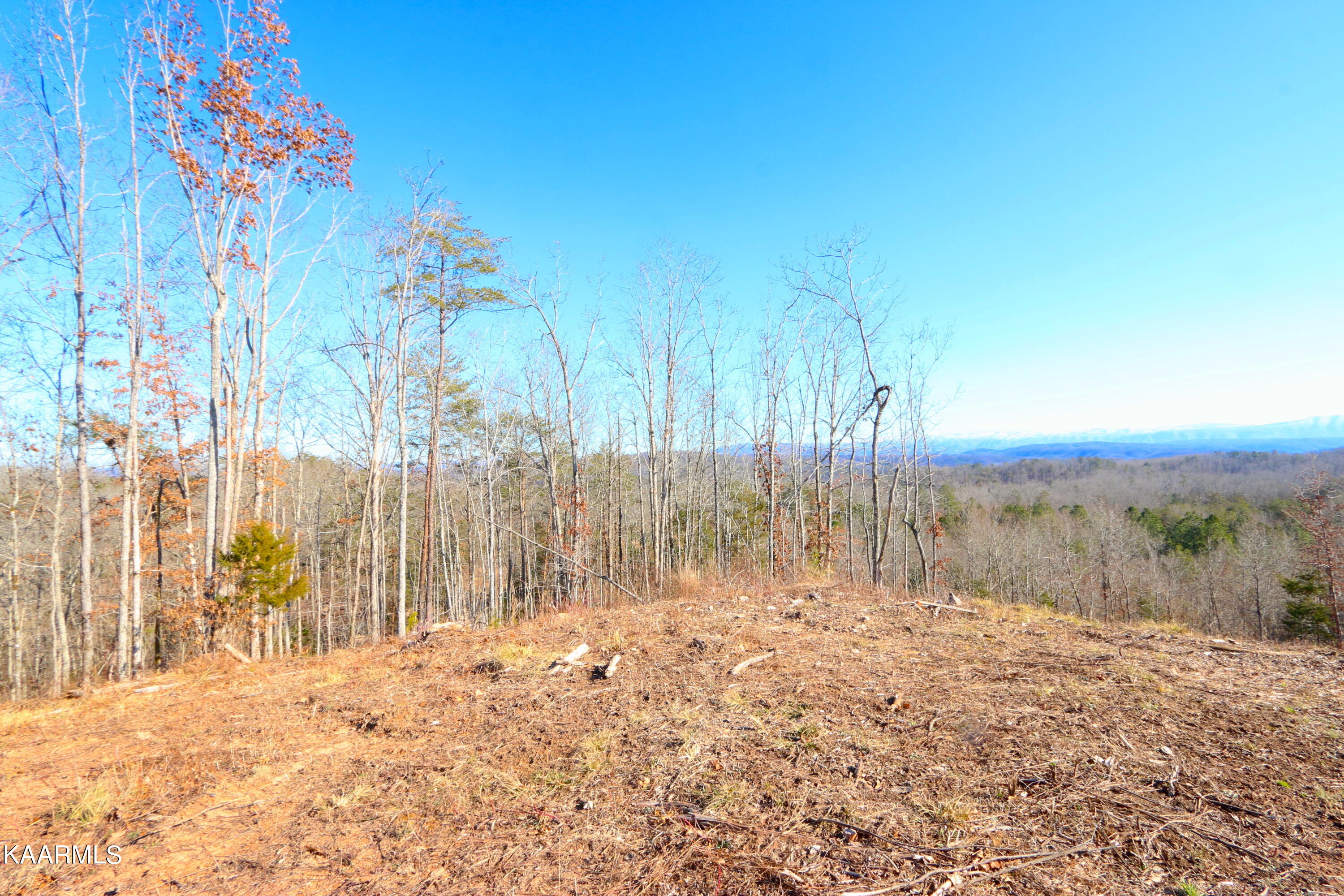 257 Bill Moser Road Vonore, TN 37885 - Photo 17 of 33 IMG_0269