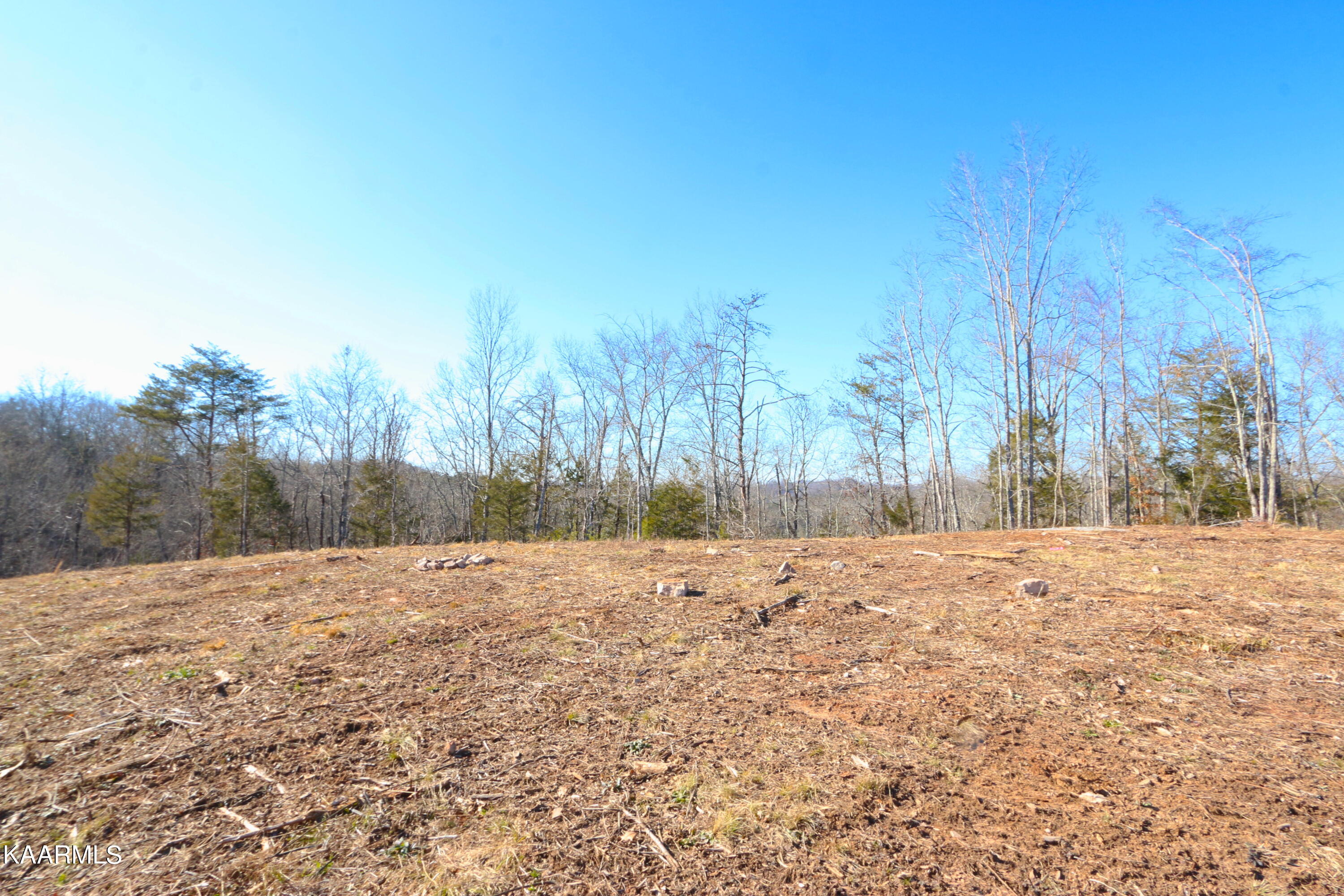 257 Bill Moser Road Vonore, TN 37885 - Photo 18 of 33 IMG_0272