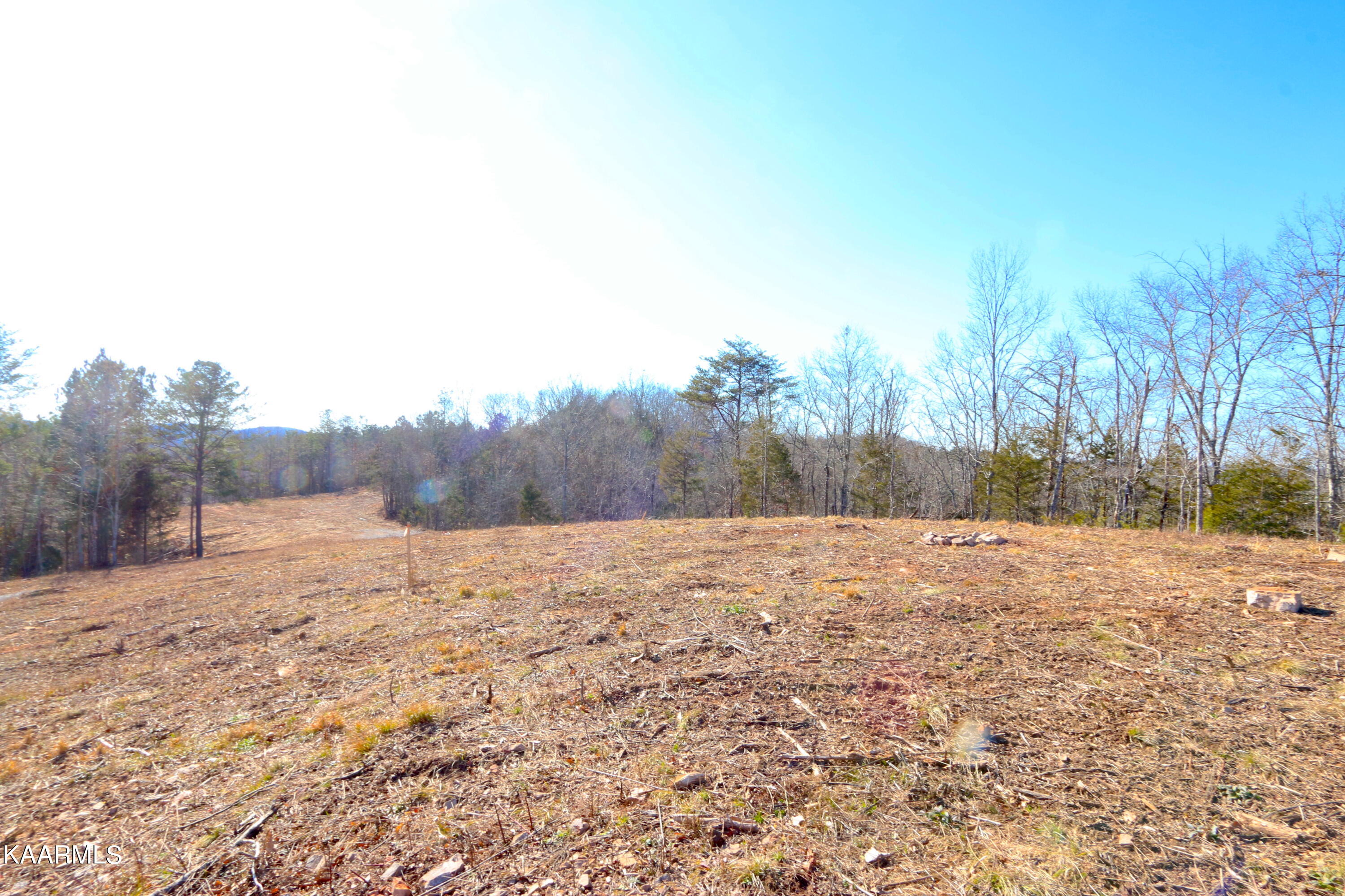 257 Bill Moser Road Vonore, TN 37885 - Photo 19 of 33 IMG_0273