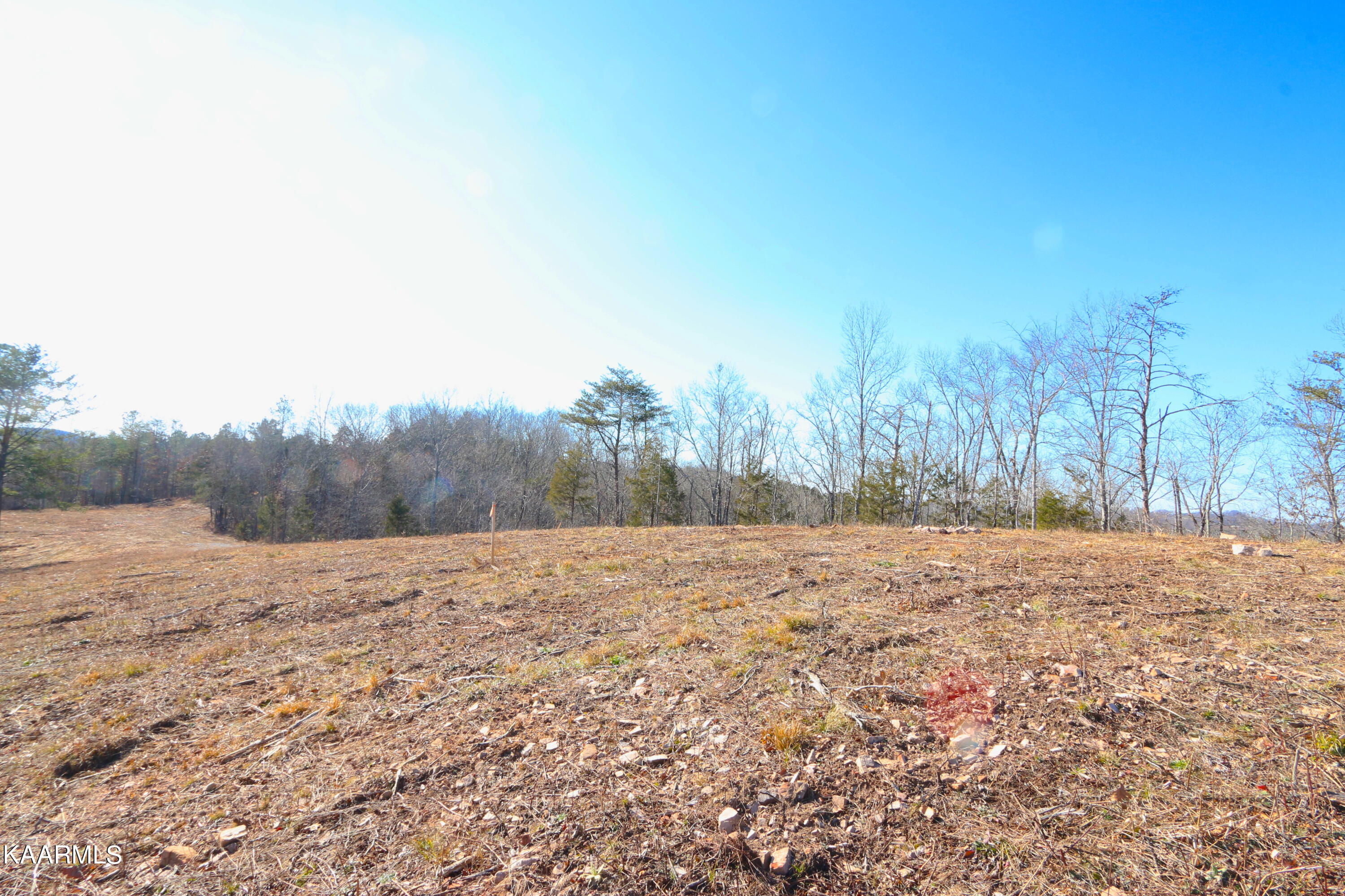 257 Bill Moser Road Vonore, TN 37885 - Photo 20 of 33 IMG_0274