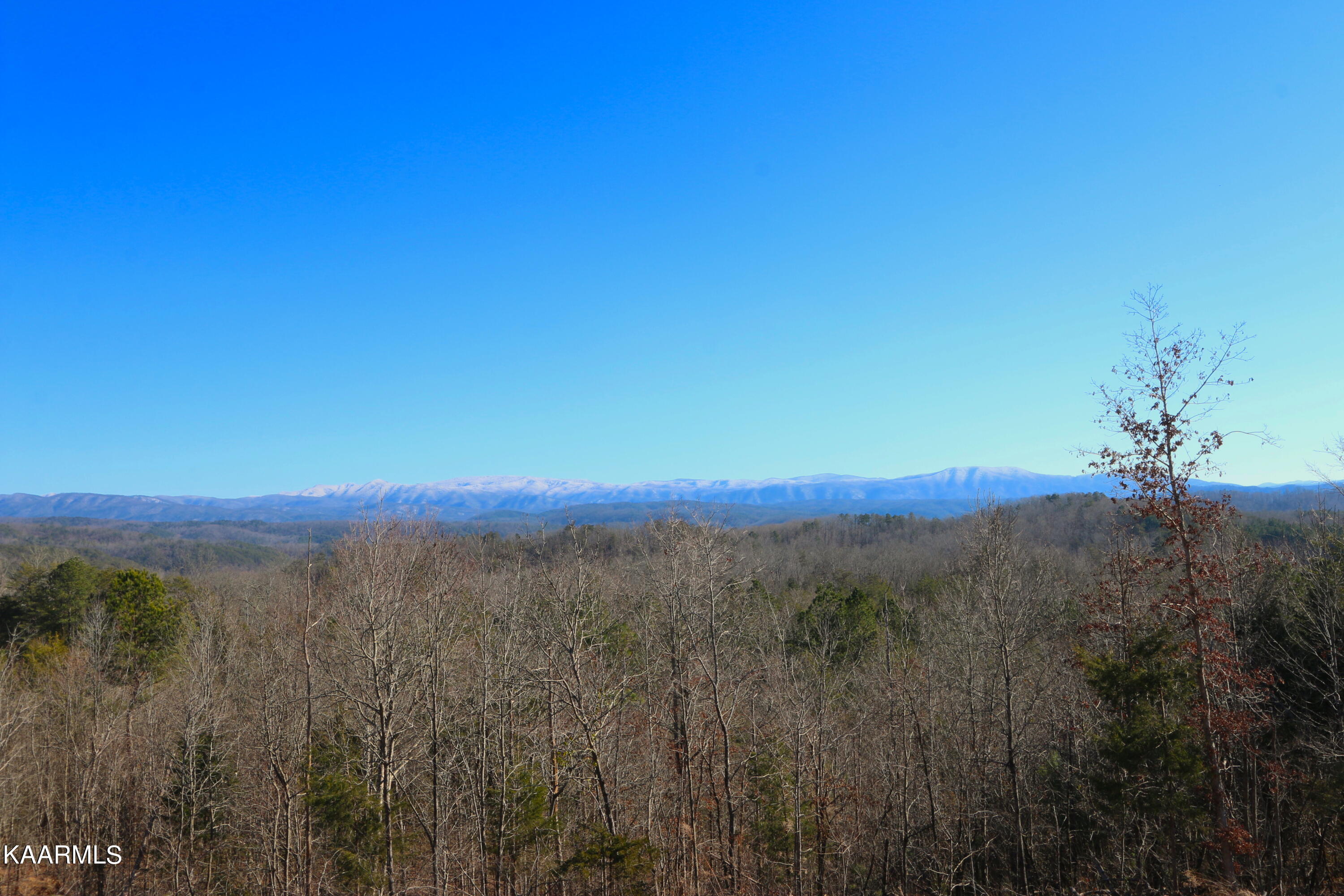 257 Bill Moser Road Vonore, TN 37885 - Photo 21 of 33 IMG_0279