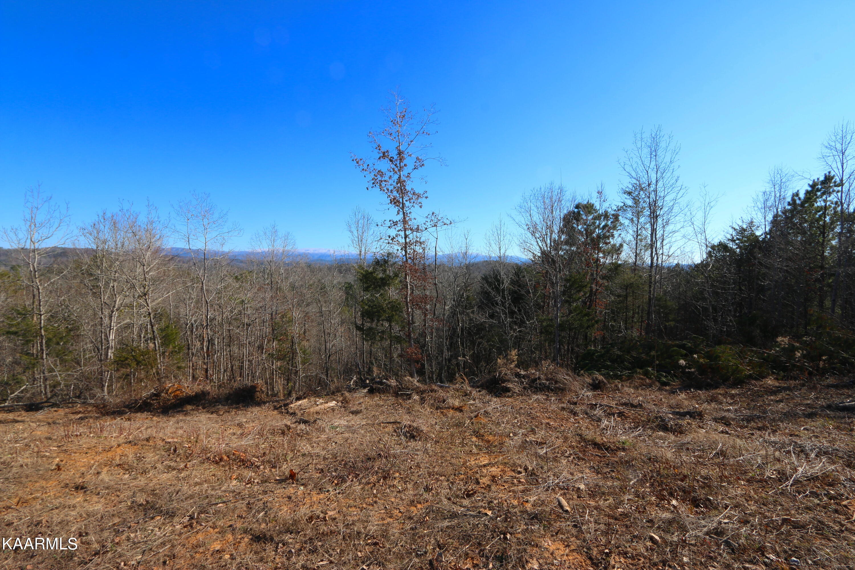 257 Bill Moser Road Vonore, TN 37885 - Photo 23 of 33 IMG_0281