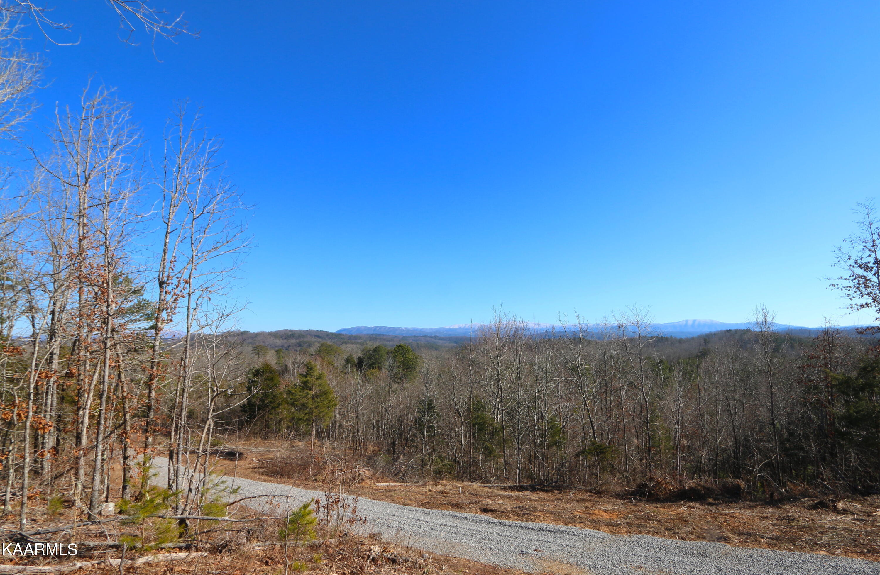 257 Bill Moser Road Vonore, TN 37885 - Photo 10 of 33 IMG_0278