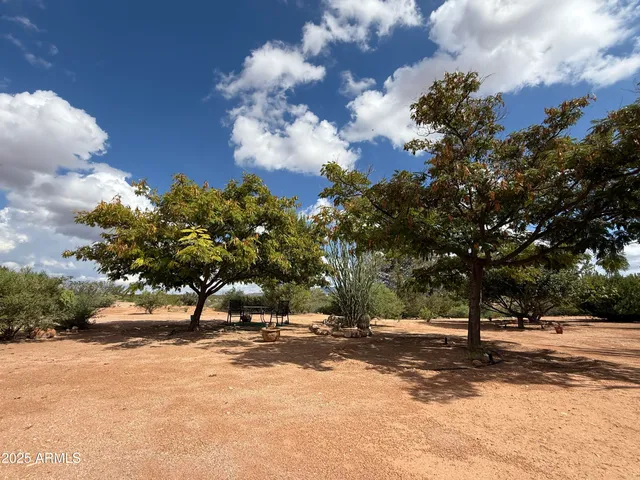 a view of a park with large trees