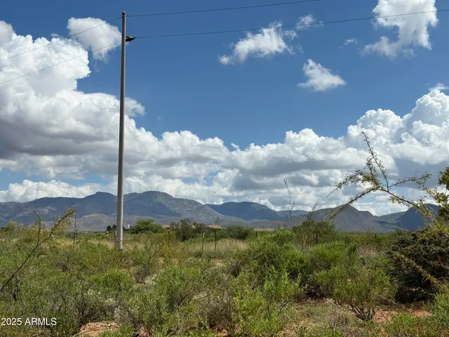 a view of road with trees