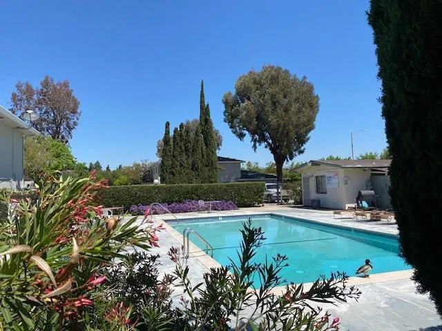 $481,000 | 323 Blossom Hill Road, Unit 2, San Jose, CA 95123