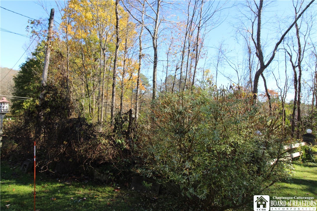 3467 Belleview Road Ellery, NY 14712 - Photo 9 of 40 Side yard.