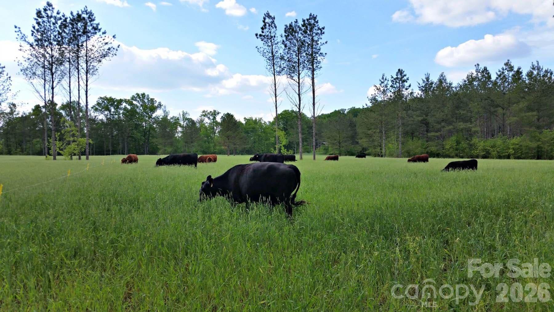 3175 Trotter Road Asheboro, NC 27205 - Photo 46 of 48