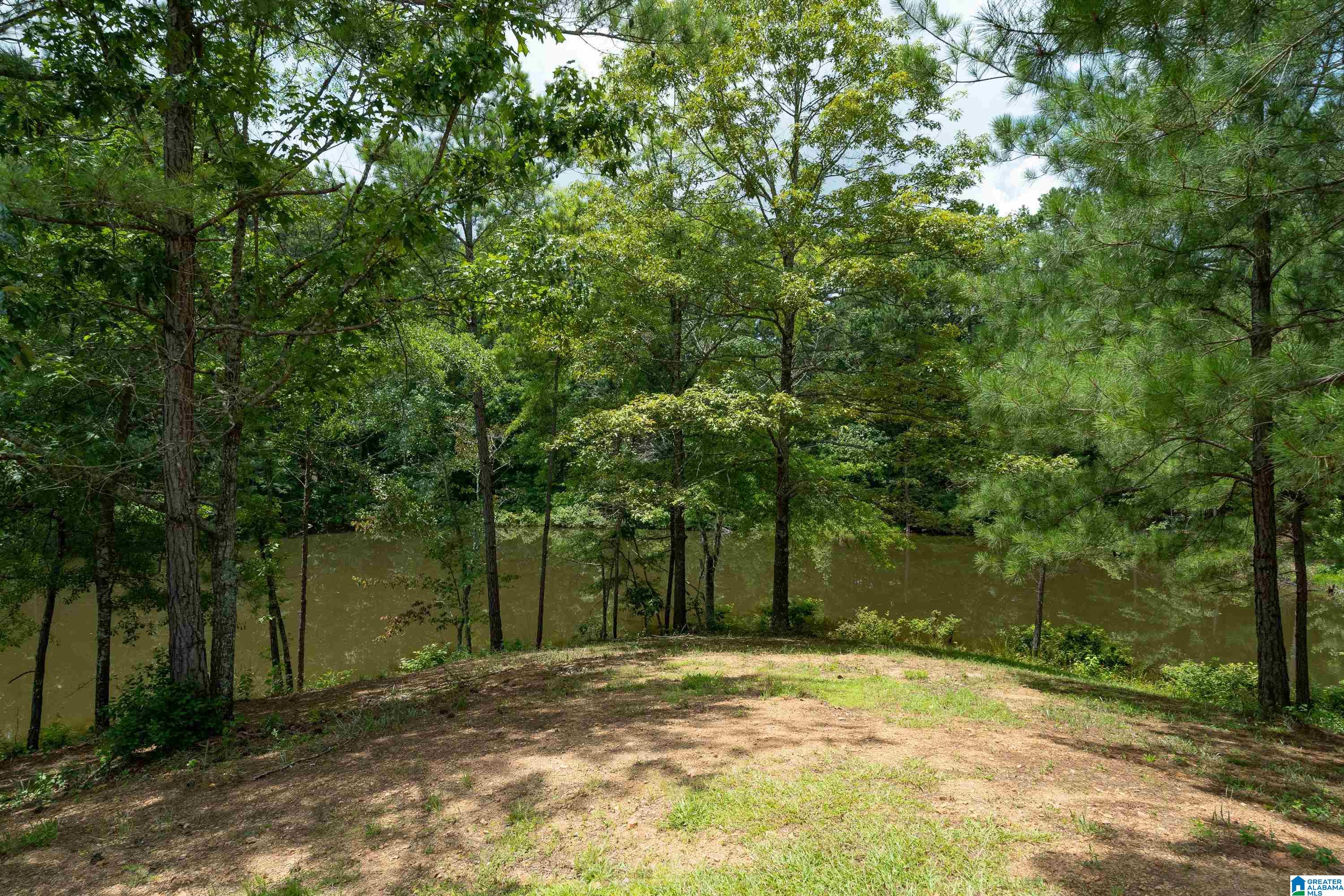340 Lake Cottage Road Sterrett, AL 35147 - Photo 51 of 83