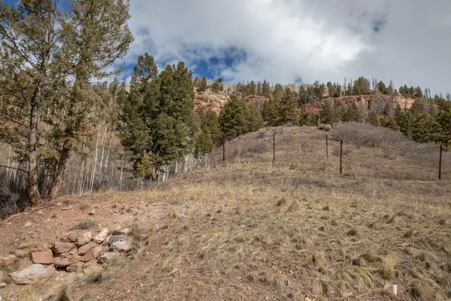 $3,500,000 | Lot 8 Primrose Lane, Telluride, CO 81435