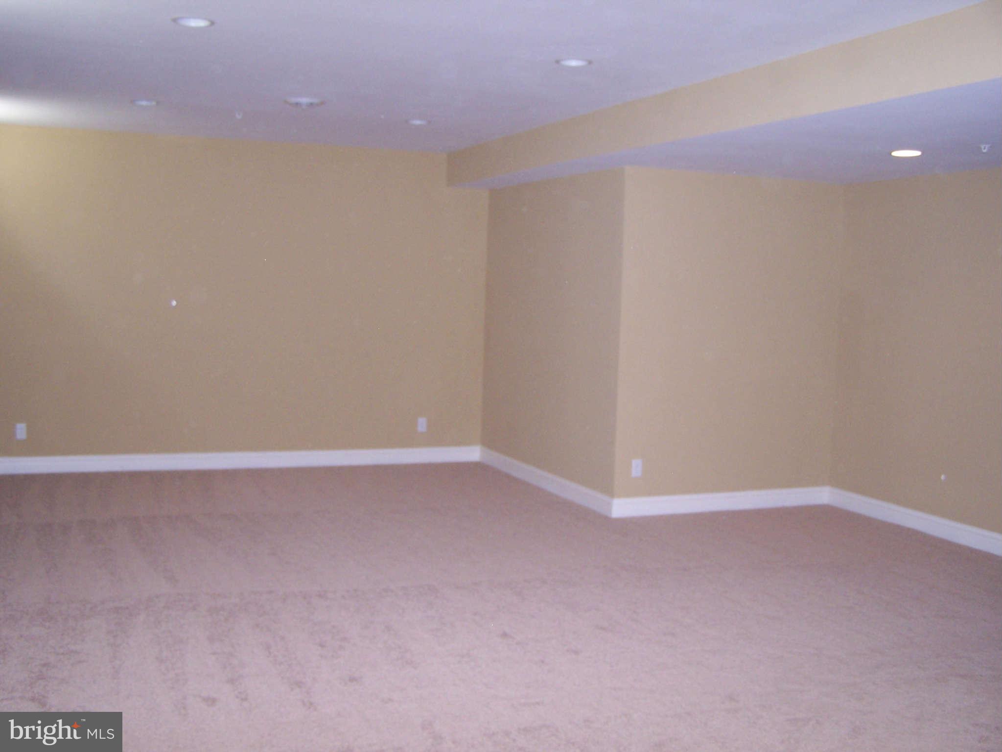 2574 Davidsonville Road Gambrills, MD 21054 - Photo 12 of 25 Fully Finished Lower Level