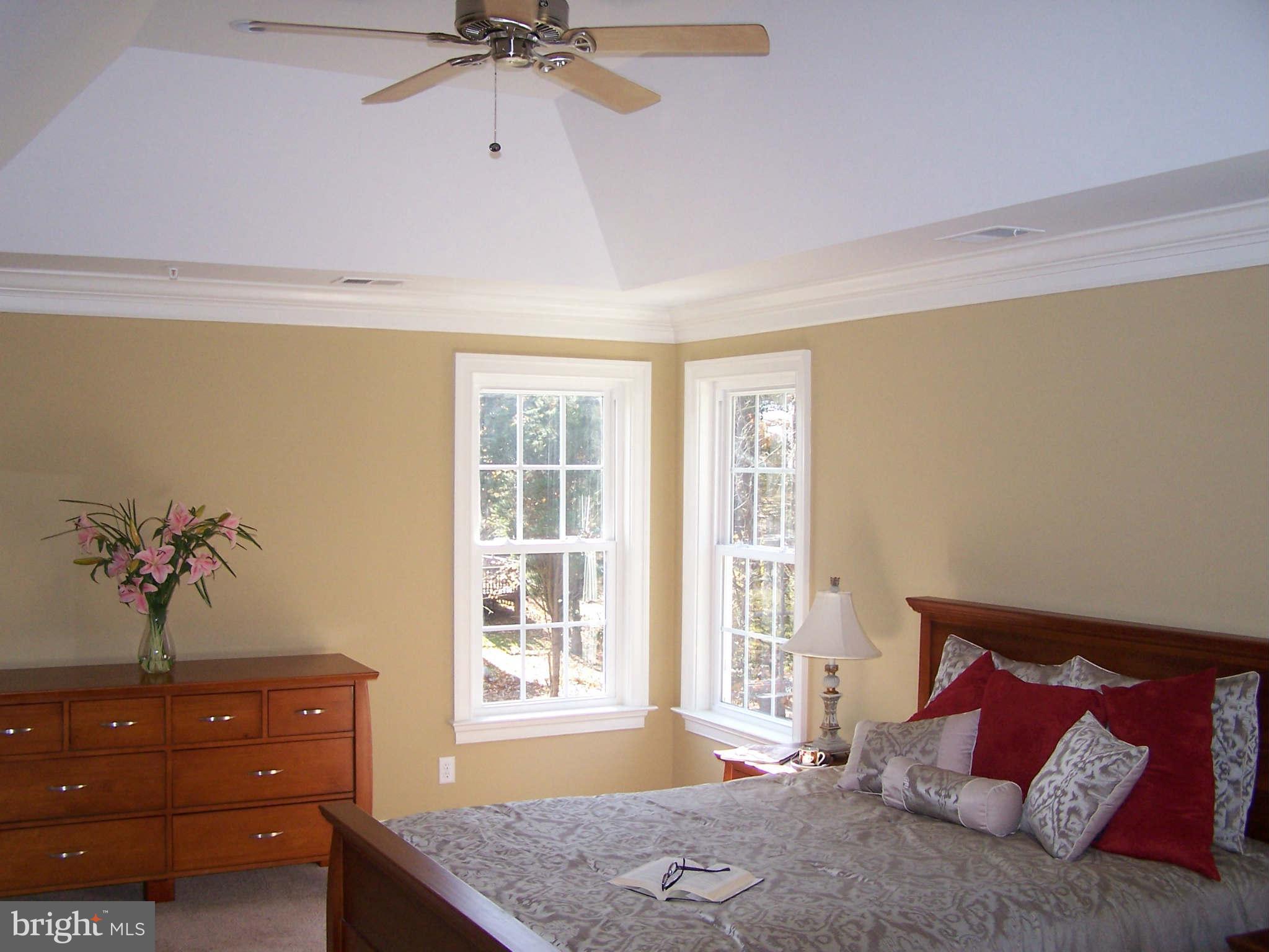 2574 Davidsonville Road Gambrills, MD 21054 - Photo 25 of 25 Extra High Tray Ceiling