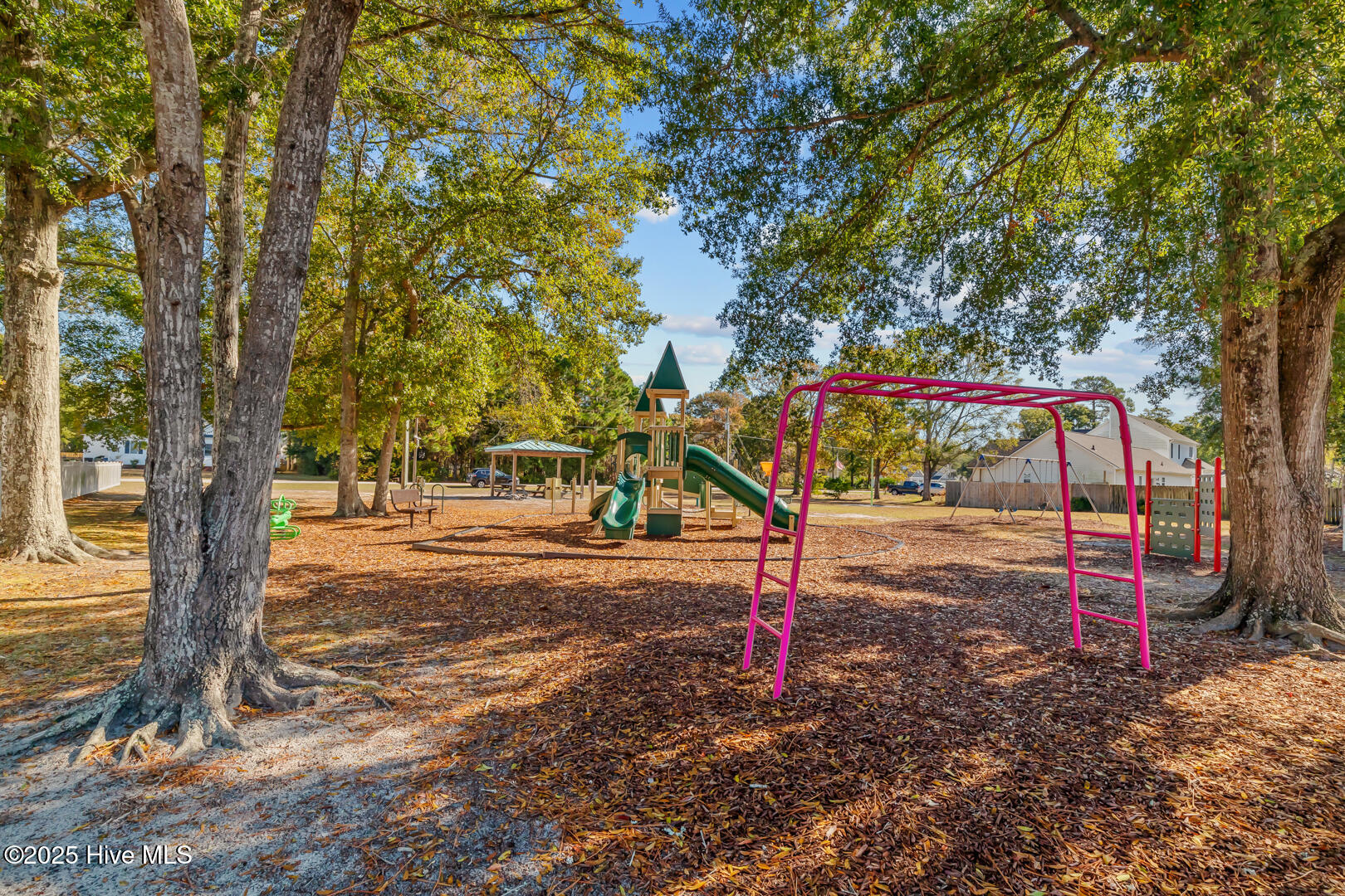 116 Shell Court Sneads Ferry, NC 28460 - Photo 69 of 69 CP16