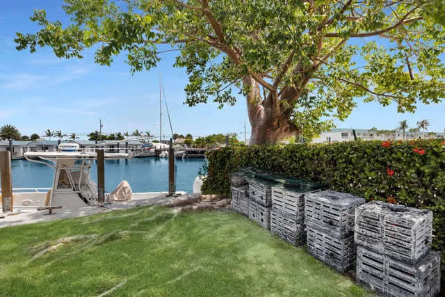 a view of a garden with a fountain