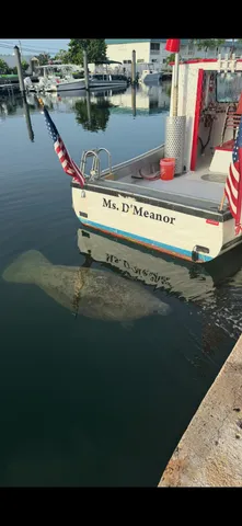 a lake view with boat and palm trees
