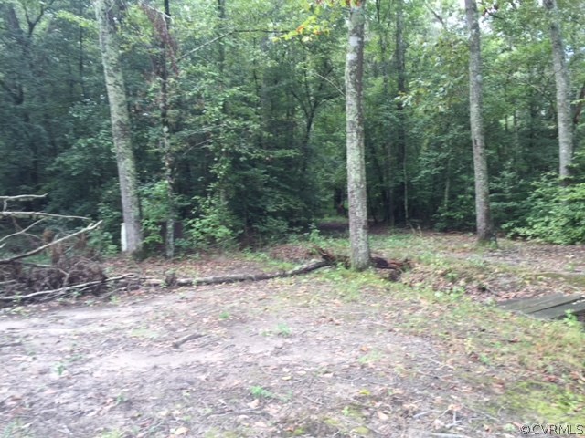 367 Harris Road Aylett, VA 23009 - Photo 6 of 6 a view of outdoor space and trees